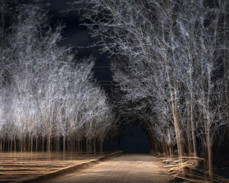 三维激光扫描技术对林木的扫描测量有哪些优势